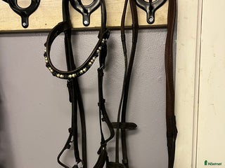 Träns hästutrustning till salu: Fint brunt Remontträns och gummityglar i Hindås - Annons 3