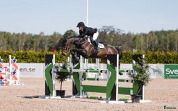 Hoppning hästar till salu: Diadora VS - Young rider/Junior häst med kapacitet i Borrby - Bild 2