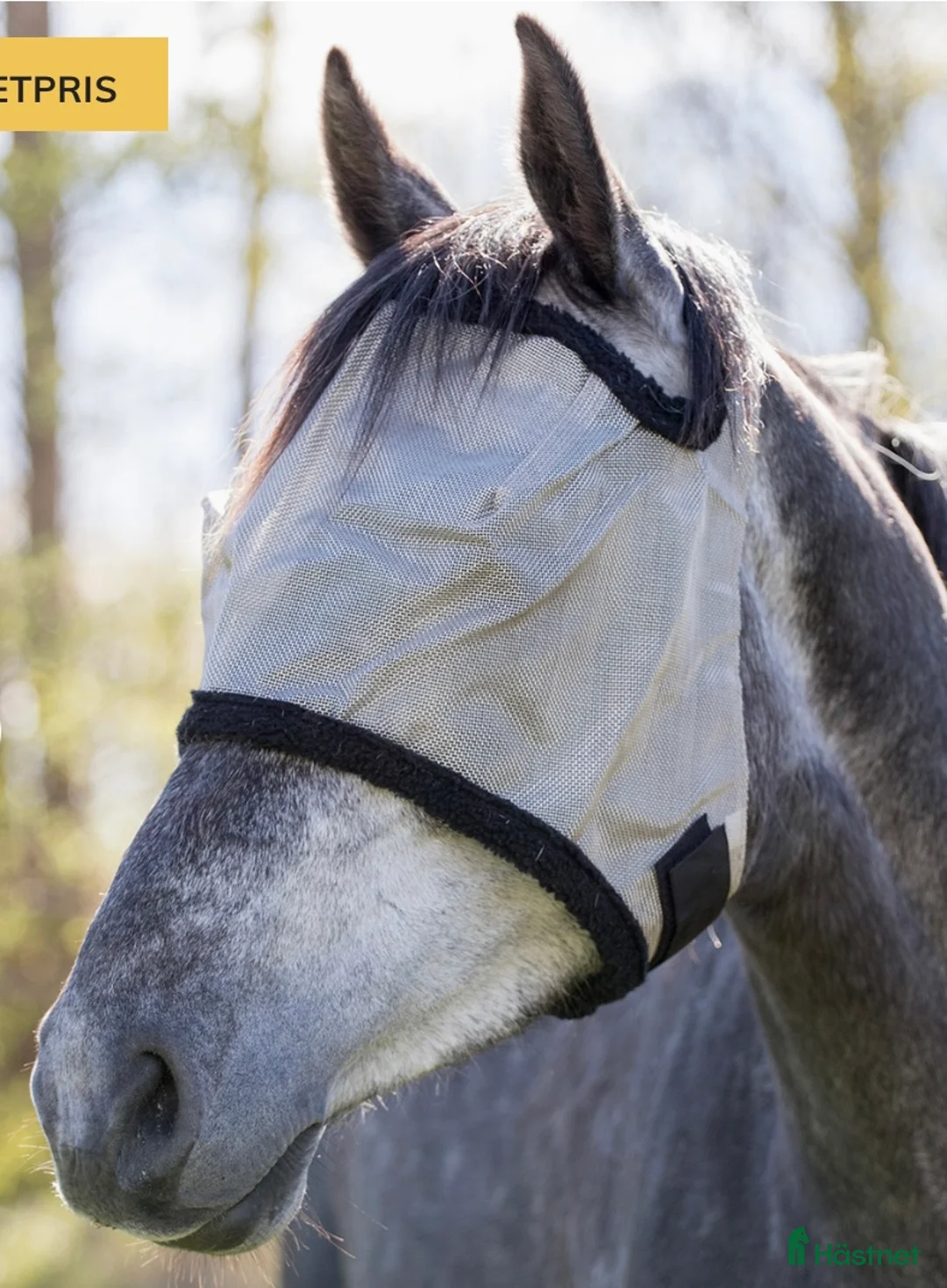 Övrig Hästutrustning hästutrustning till salu: Flughuvor - Annons 3