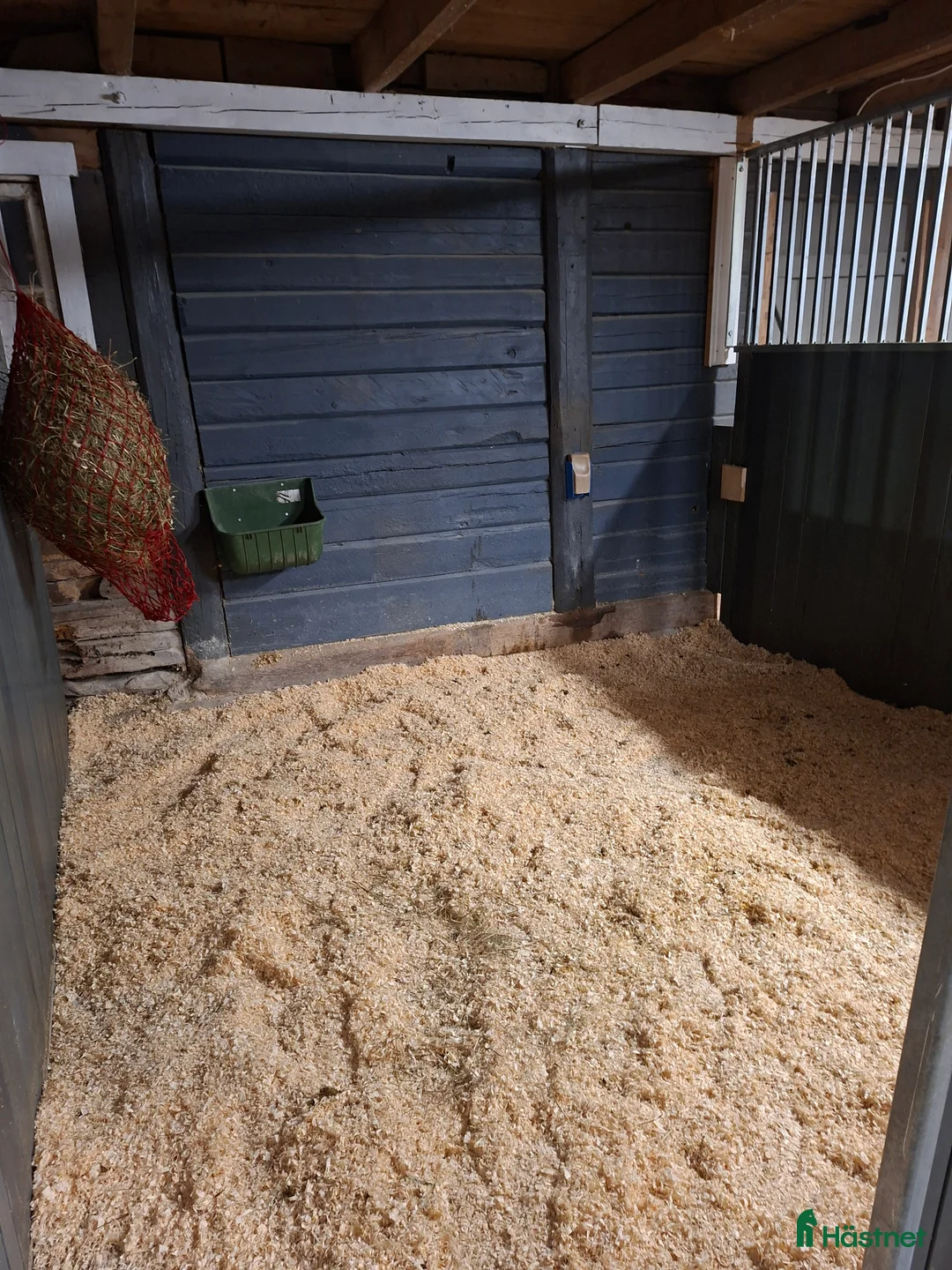  stallplats finnes: En ledig box för islandsvalack  i Björköby - Annons 1