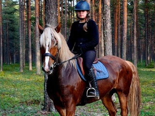 hästar Snyggaste fuxen som finns. i Öjebyn - Annons 17