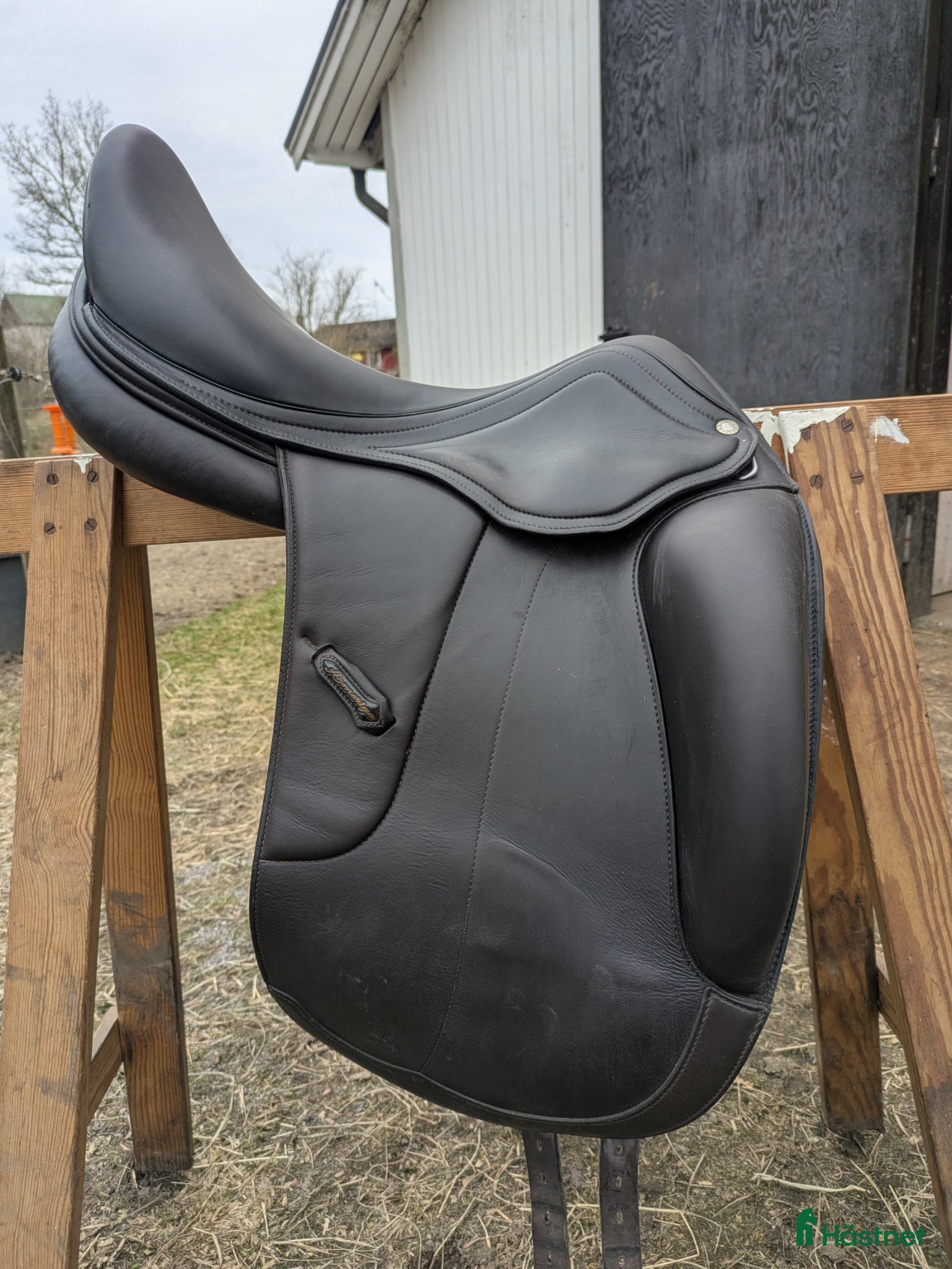 Sadlar hästutrustning Amerigo Vega dressyr  - Annons 5