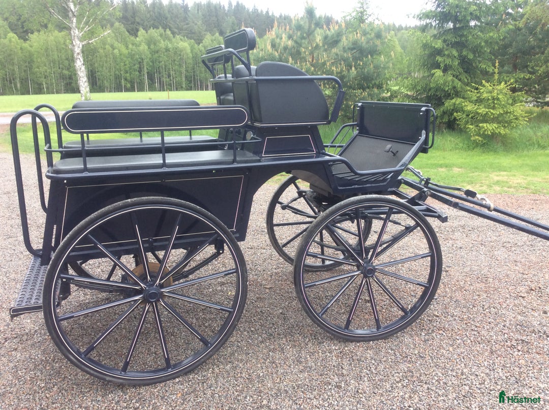 Körvagnar körning till salu: Shire-wagonette i Onslunda - Annons 4