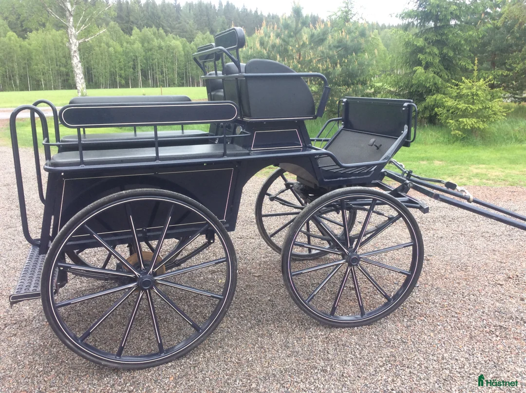 Körvagnar körning till salu: Shire-wagonette i Onslunda - Annons 4