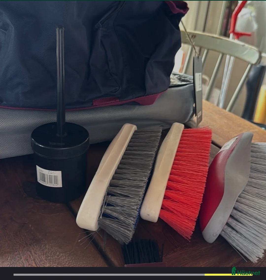 Övrig Hästutrustning hästutrustning till salu: Nyvaror! Ryktväsks med borstar i Torsåker - Annons 5