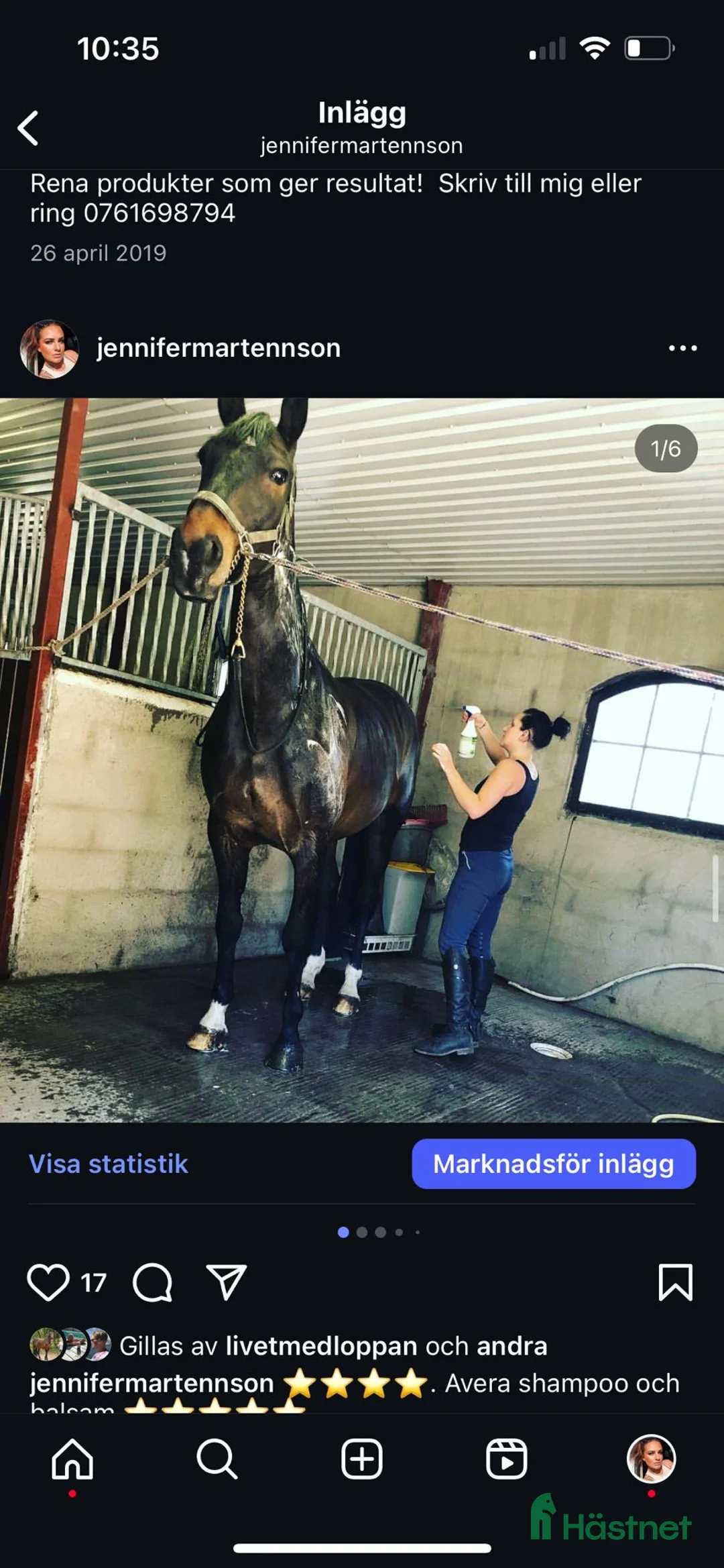 Fälttävlan hästar till salu: Min stjärna  - Annons 4