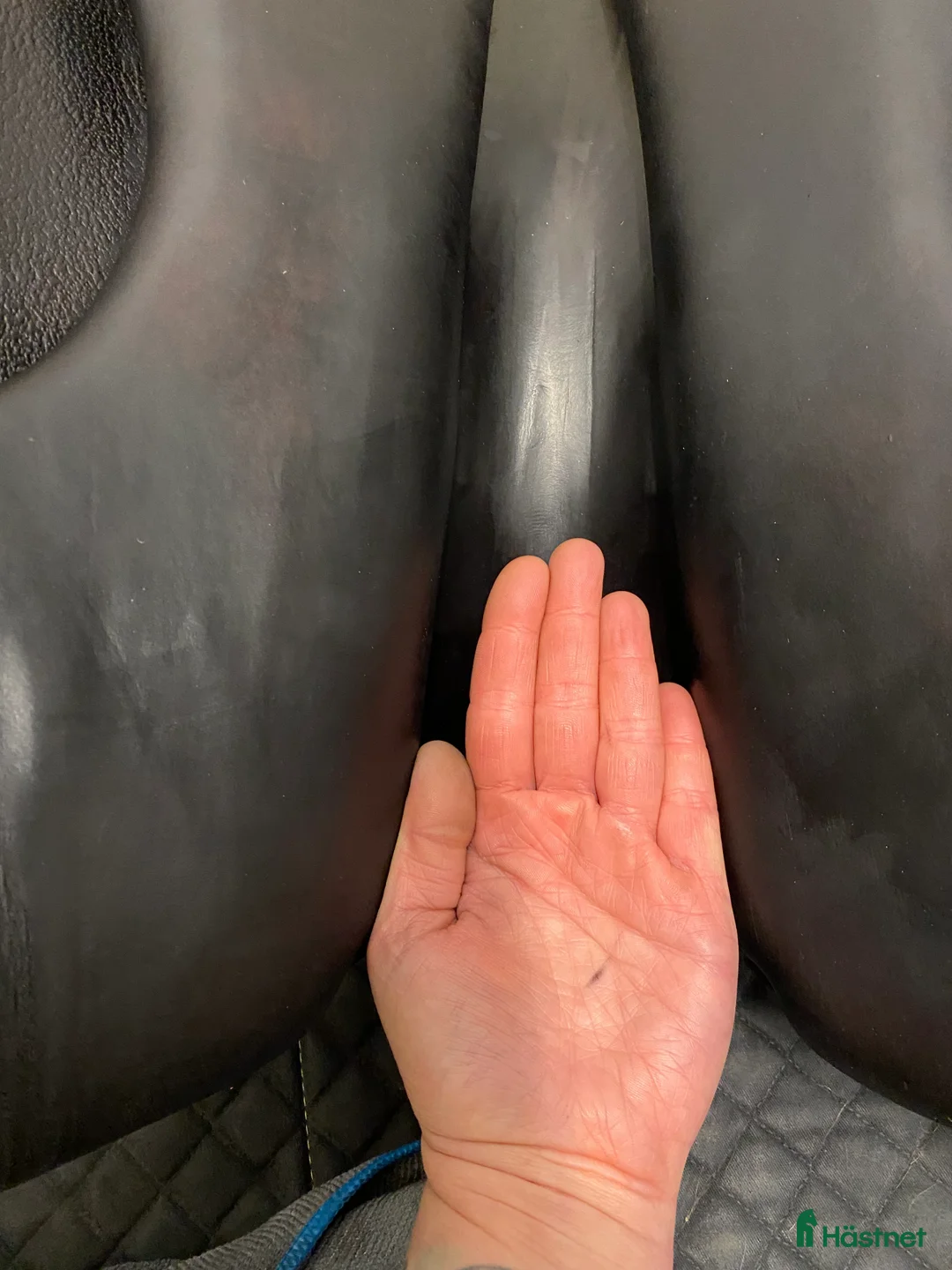 Sadlar hästutrustning till salu: Dressyrsadel Forestier illium - Annons 13