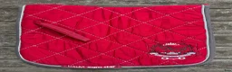 Schabrak & Vojlockar hästutrustning till salu: Rött Euro Star schabrak + lindor - Annons 2