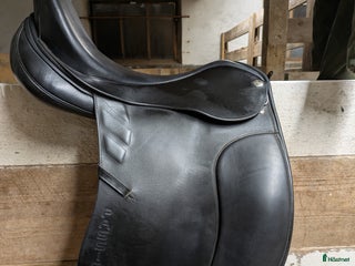 Sadlar hästutrustning till salu: Svart Sommer passion i Älmhult - Annons 1
