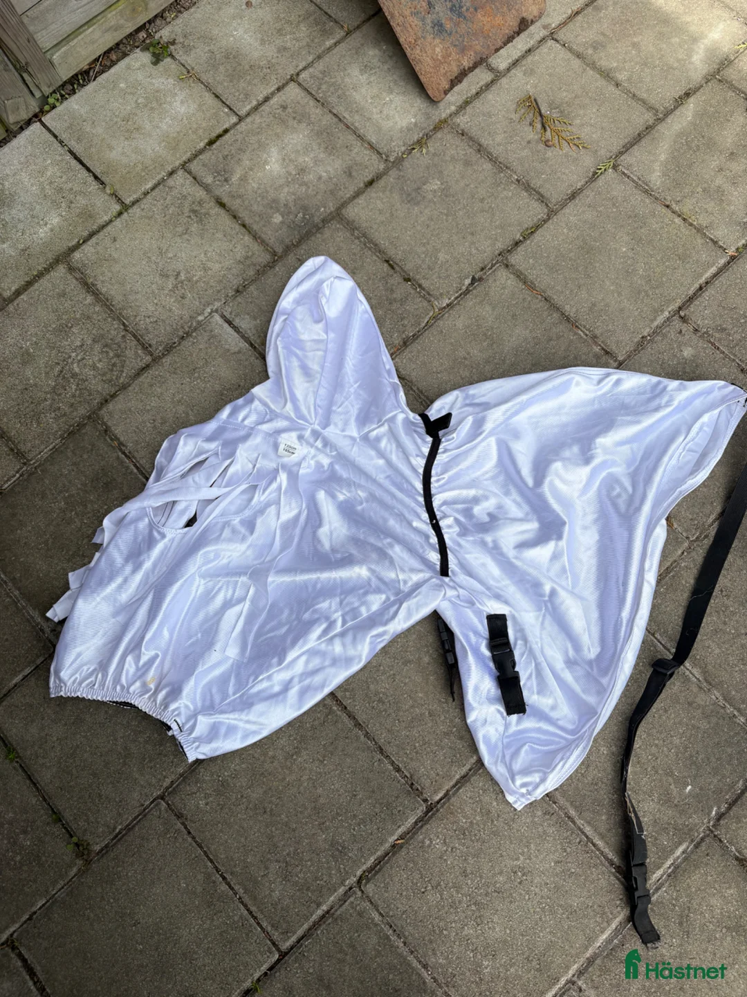 Övrig Hästutrustning hästutrustning till salu: Hästsaker - Annons 2