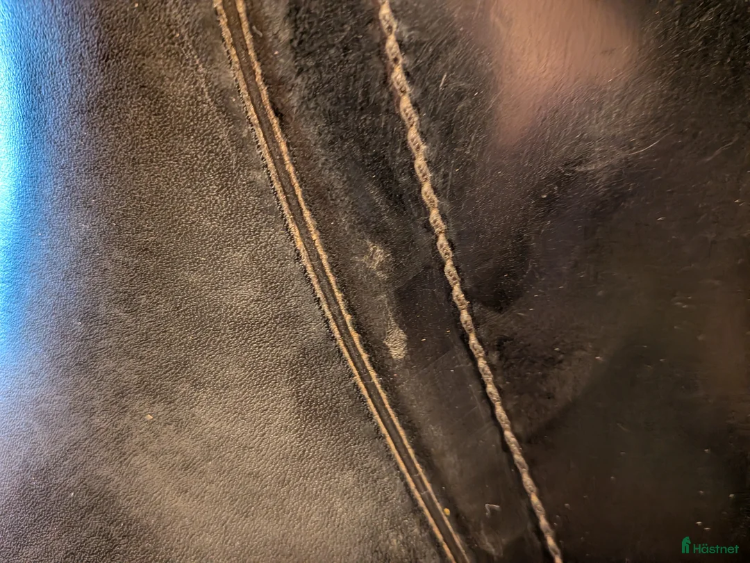 Sadlar hästutrustning till salu: Äldre prestige venezia i fint skick - Annons 7