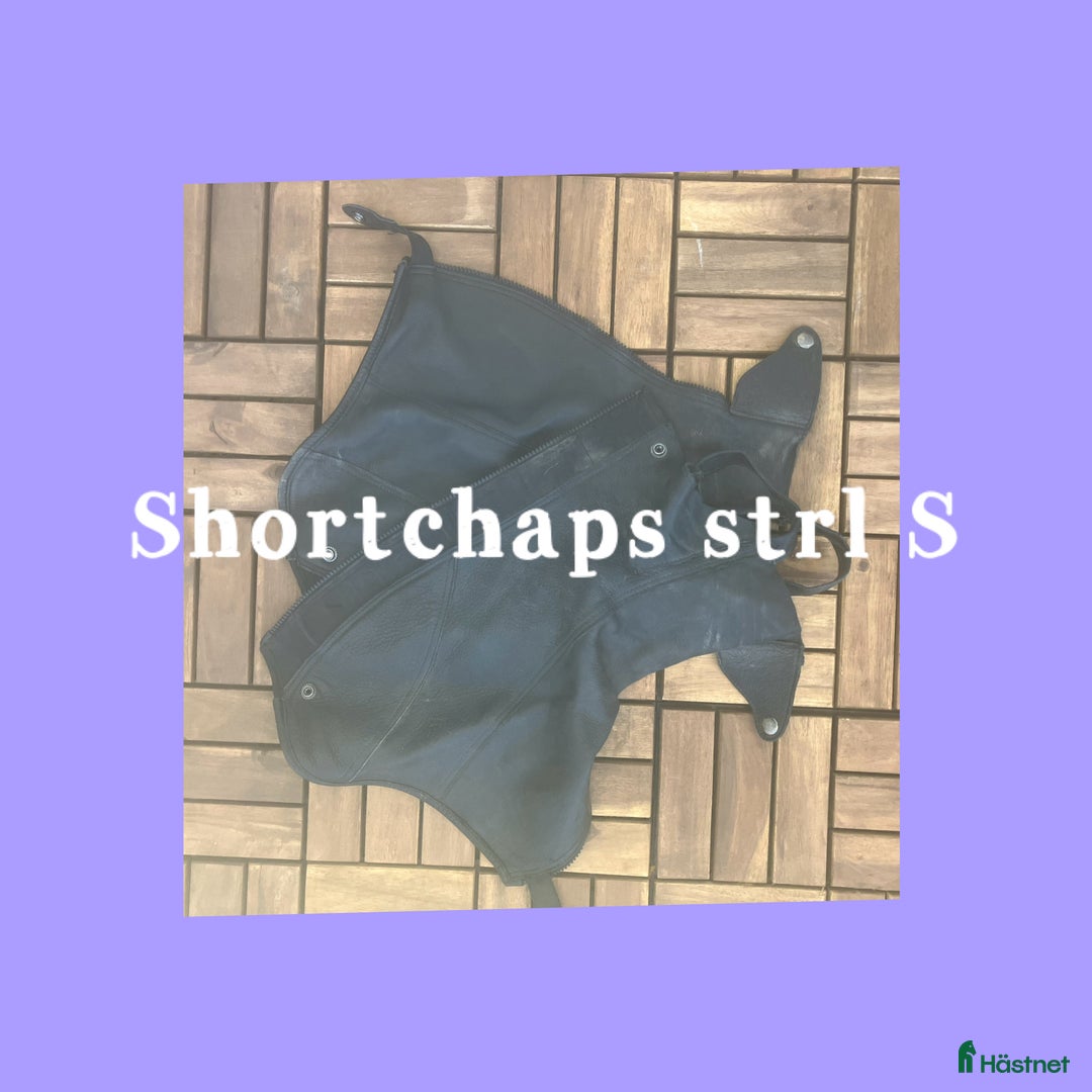 Övrig Ryttarutrustning ryttarutrustning till salu: Shortchaps säljes! i Alingsås - Annons 1