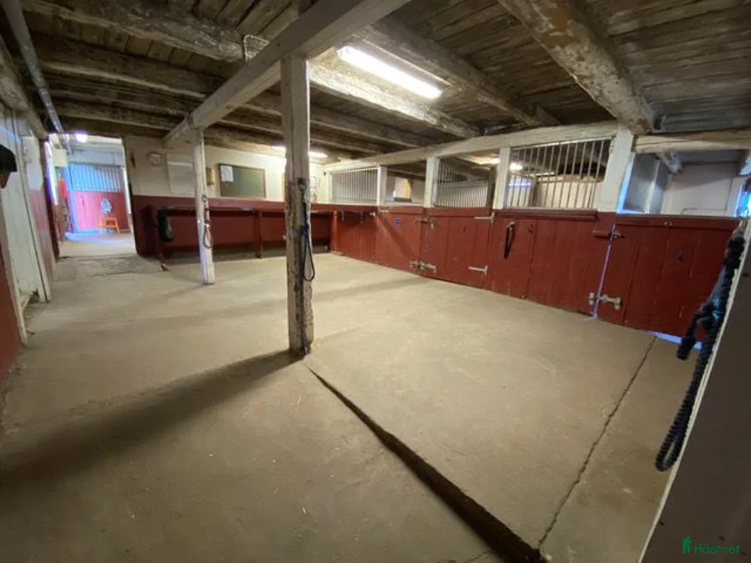 stallplats finnes: Ledig stallplats 1 september - Annons 3