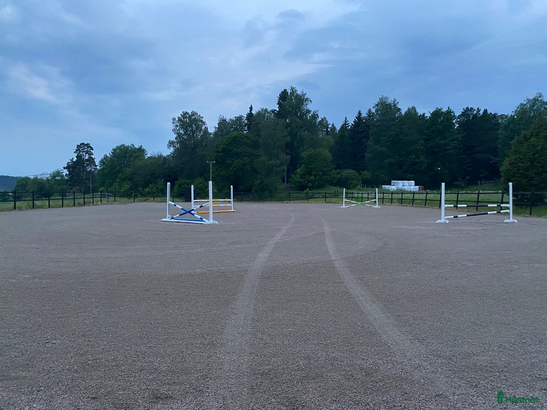  stallplats finnes: Konvalescens/Lösdrift/Unghäst samt pensionärshem i Enköping - Annons 4