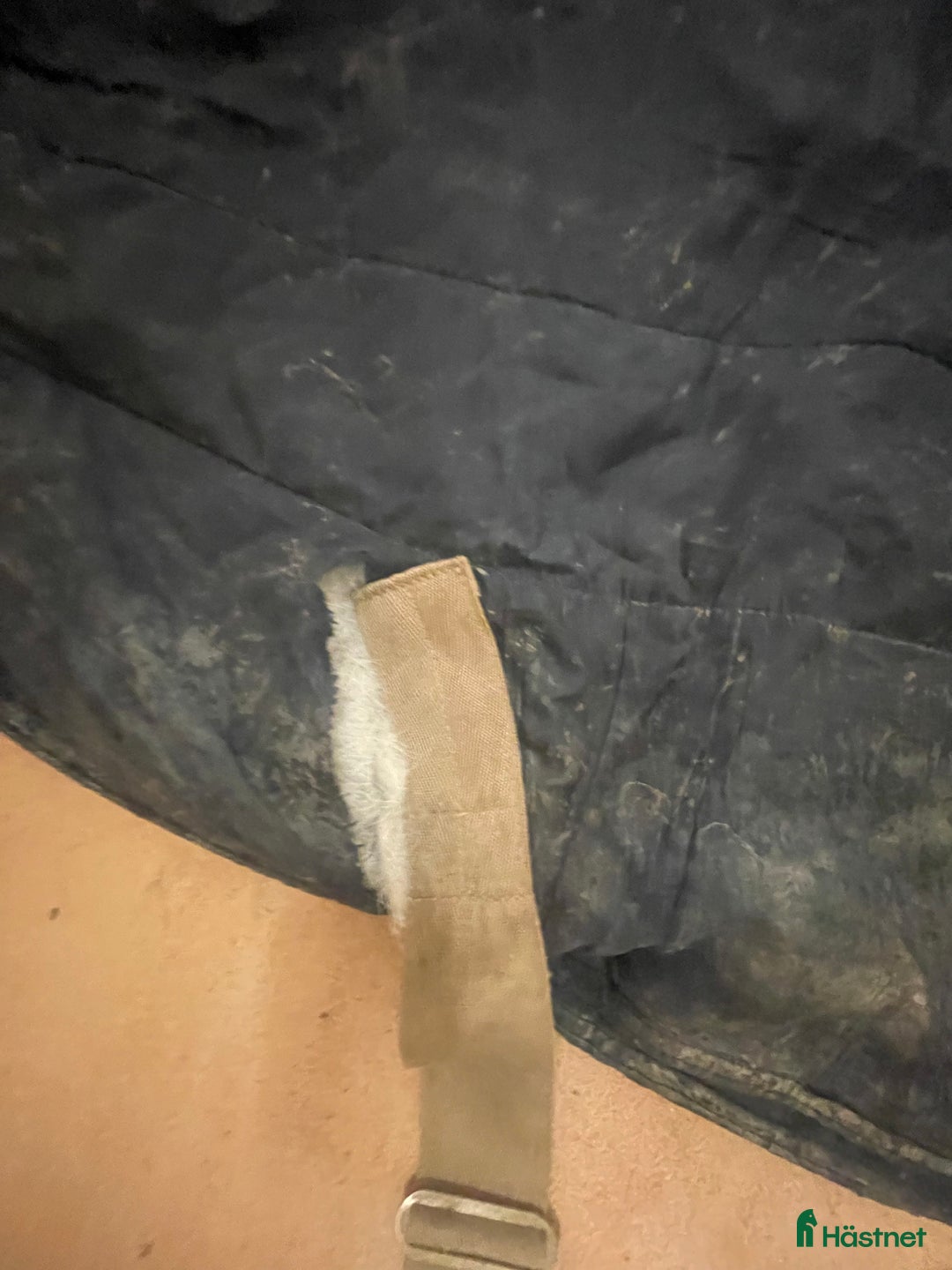 Täcken hästutrustning till salu: Innetäcke i Tyresö - Annons 4