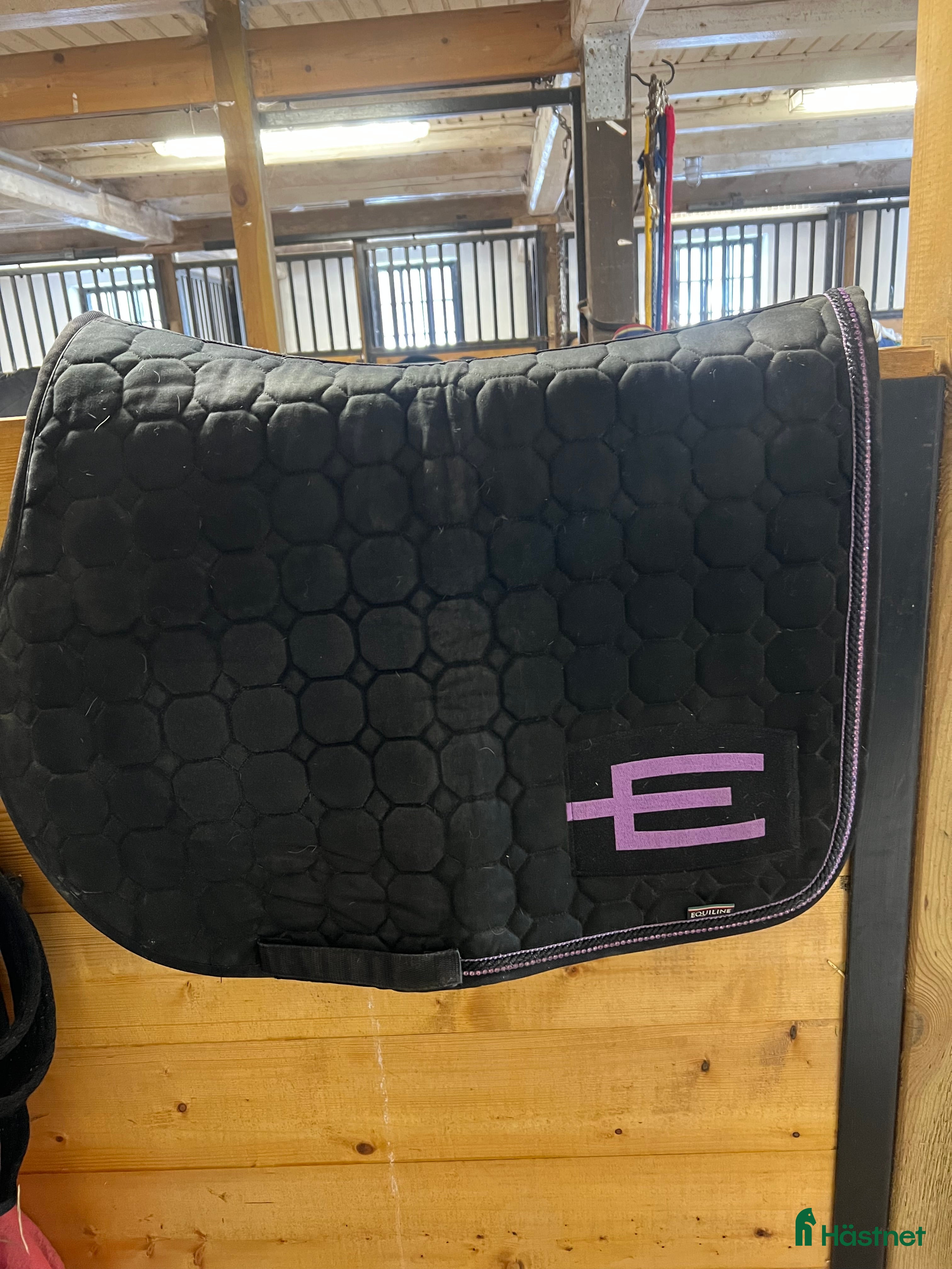 Schabrak & Vojlockar hästutrustning E logga i Göteborg - Annons 14
