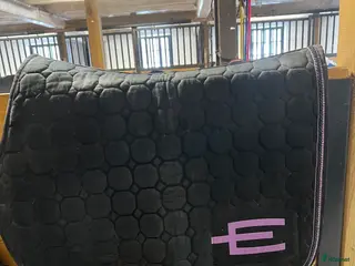 Schabrak & Vojlockar hästutrustning E logga i Göteborg - Annons 14