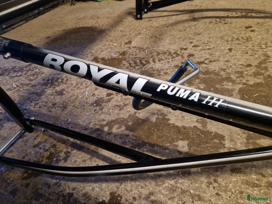 Travsulkys trav till salu: Ponnysulk till Shettis i Karlstad - Annons 5