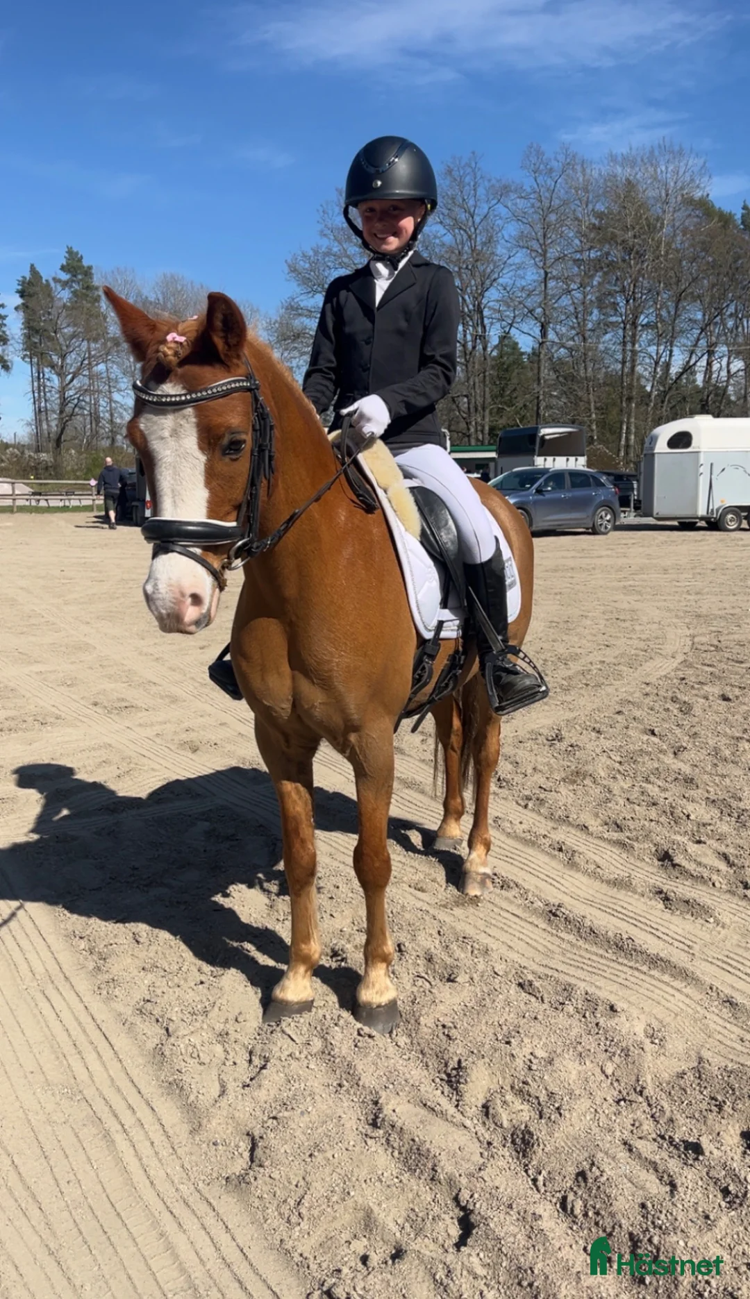 Dressyr hästar till salu: B ponny med SM kval  - Annons 2
