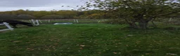  stallplats finnes: Lösdrift ledig  - Annons 11