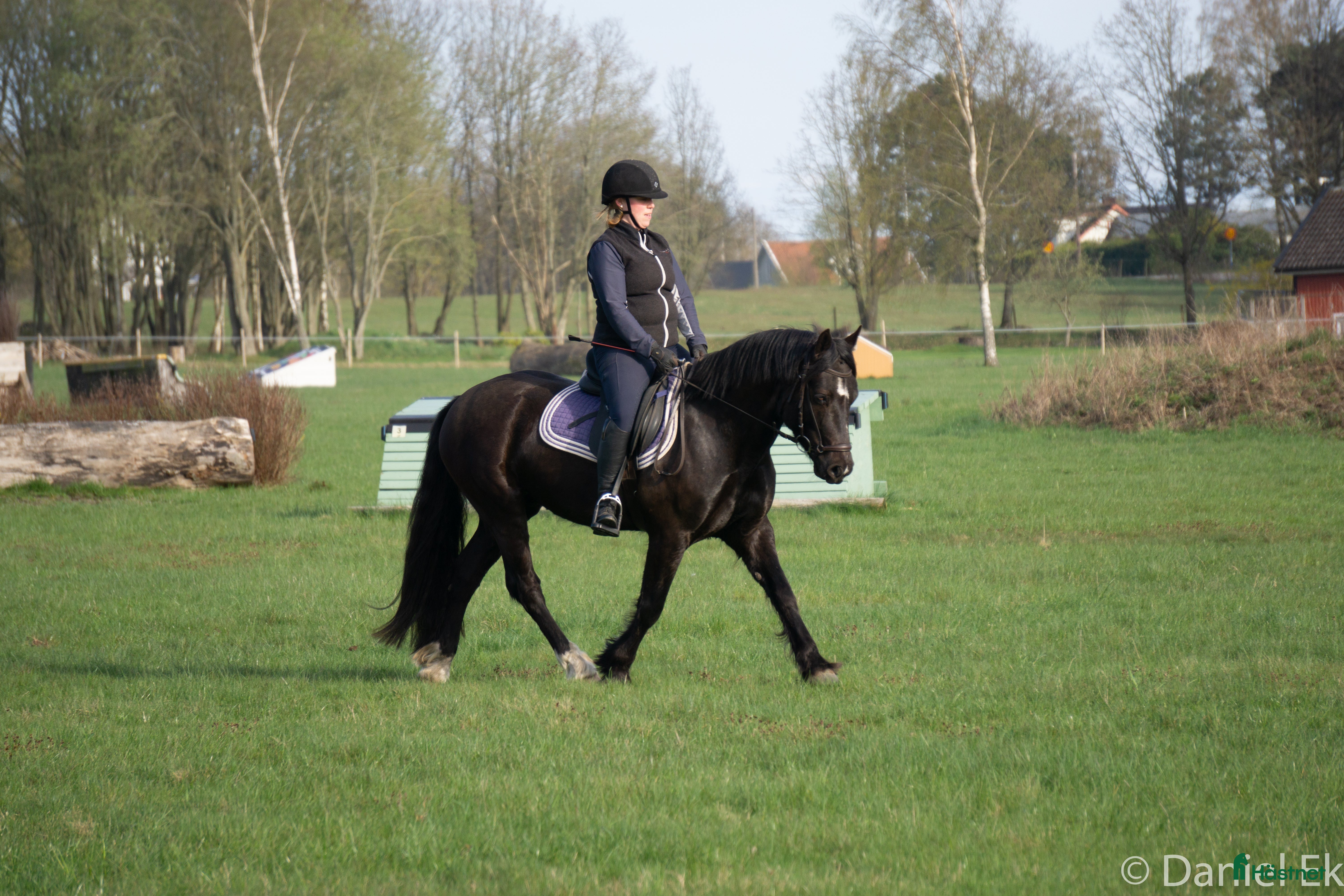 medryttarhäst finnes: Medryttare till D-ponny sökes  i Falkenberg - Annons 21