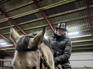 hästar Oslipad diamant - Annons 6