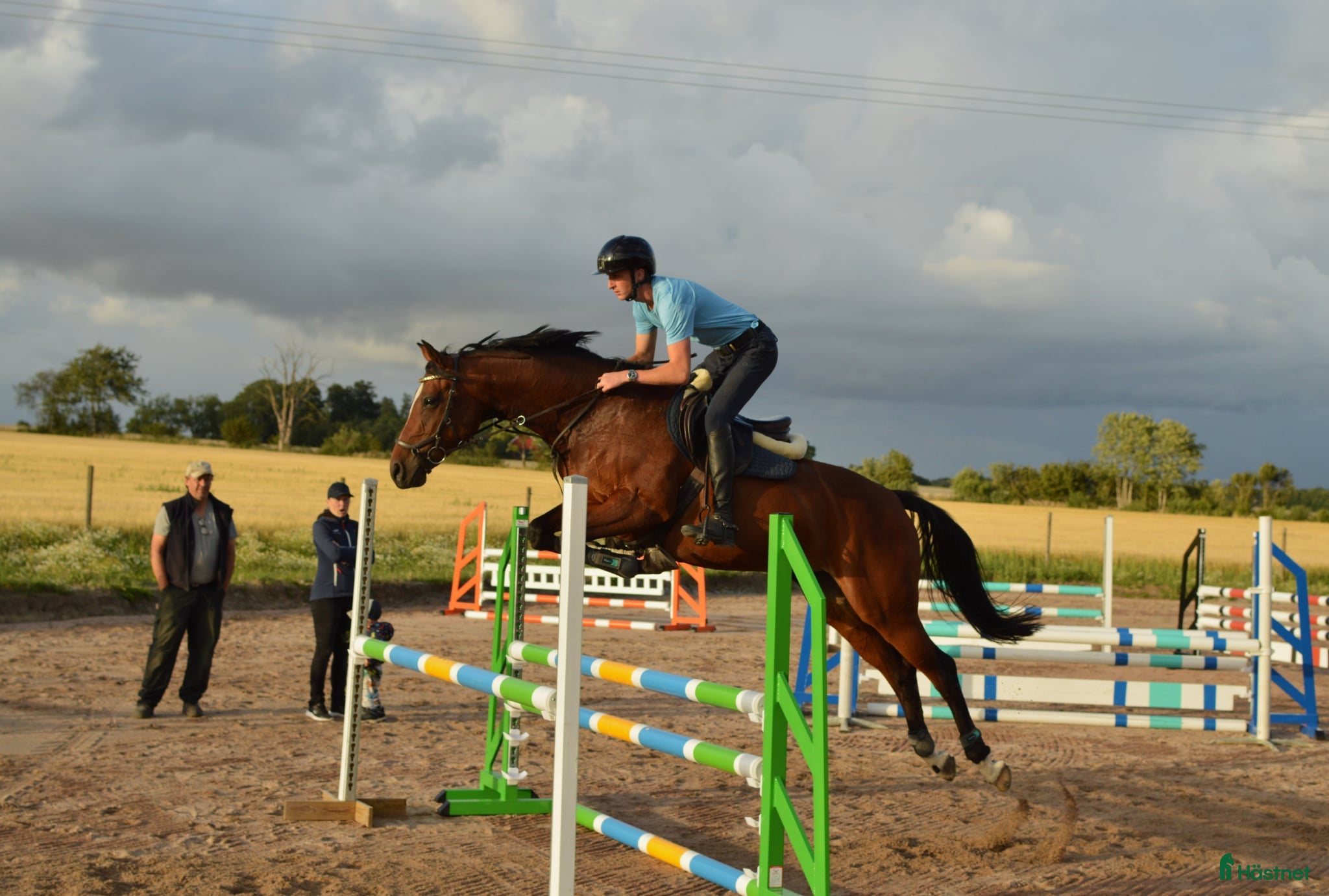  hästar Fantastiskt avelssto för fälttävlan eller hoppning - Annons 1