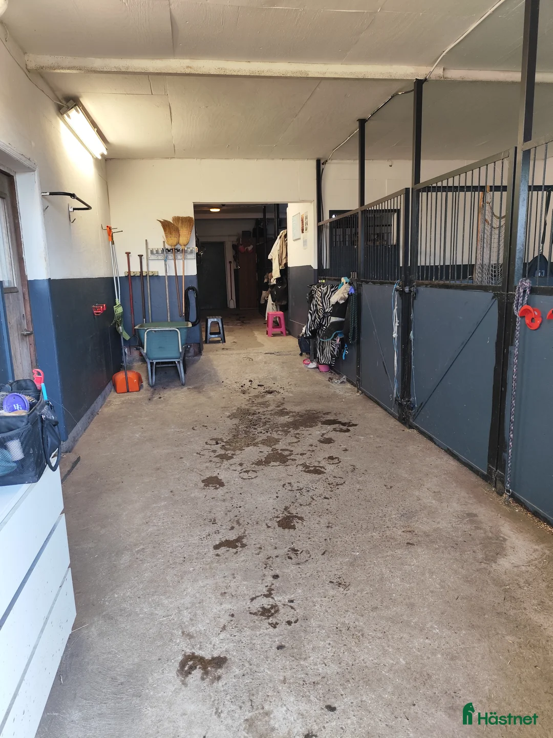  stallplats finnes: Stallplats Kode i Kode - Annons 7