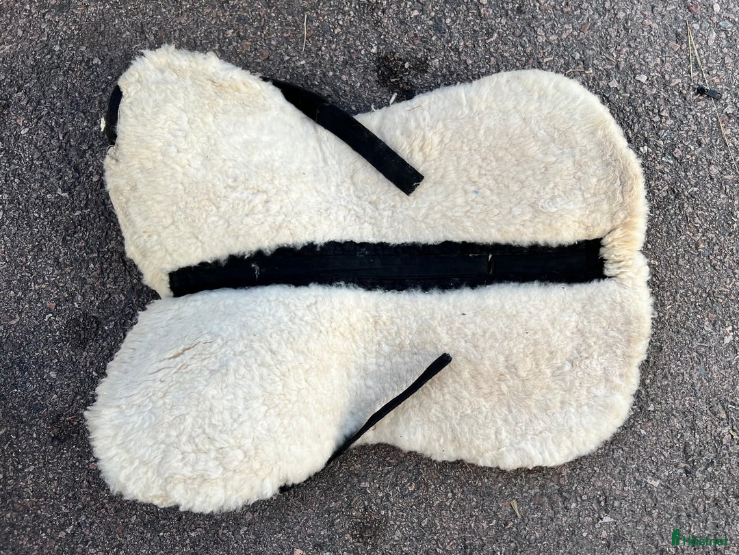 Övrig Hästutrustning hästutrustning till salu: Ponnysaker i Västerås - Annons 3