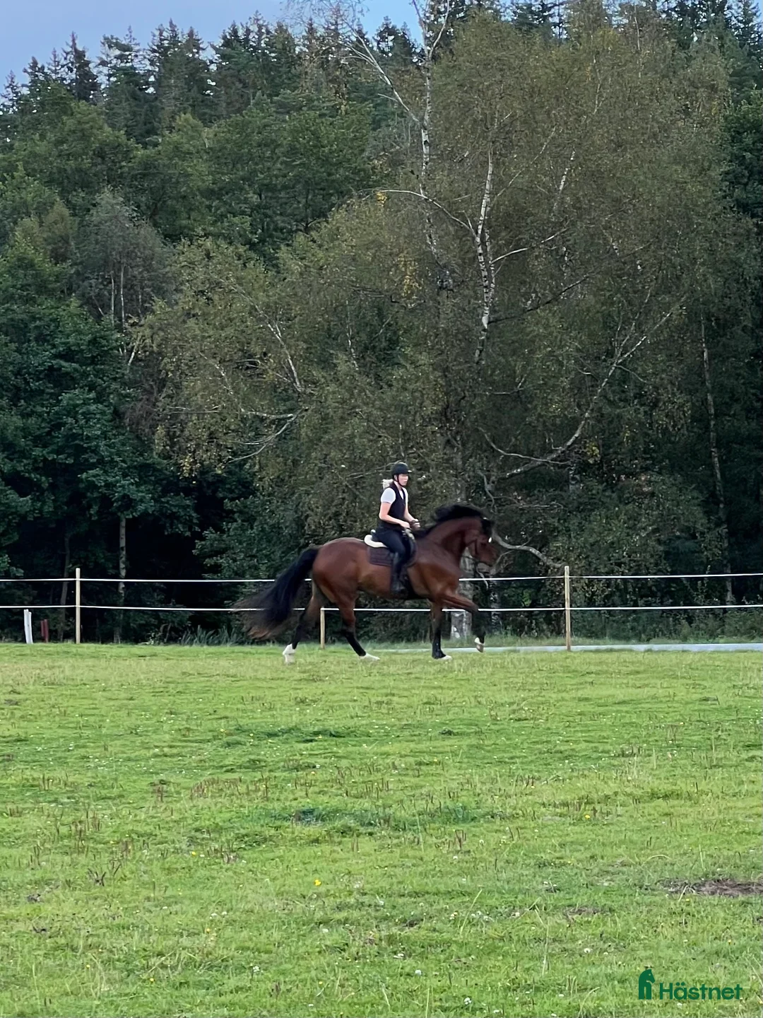 Galleribild {{count}}