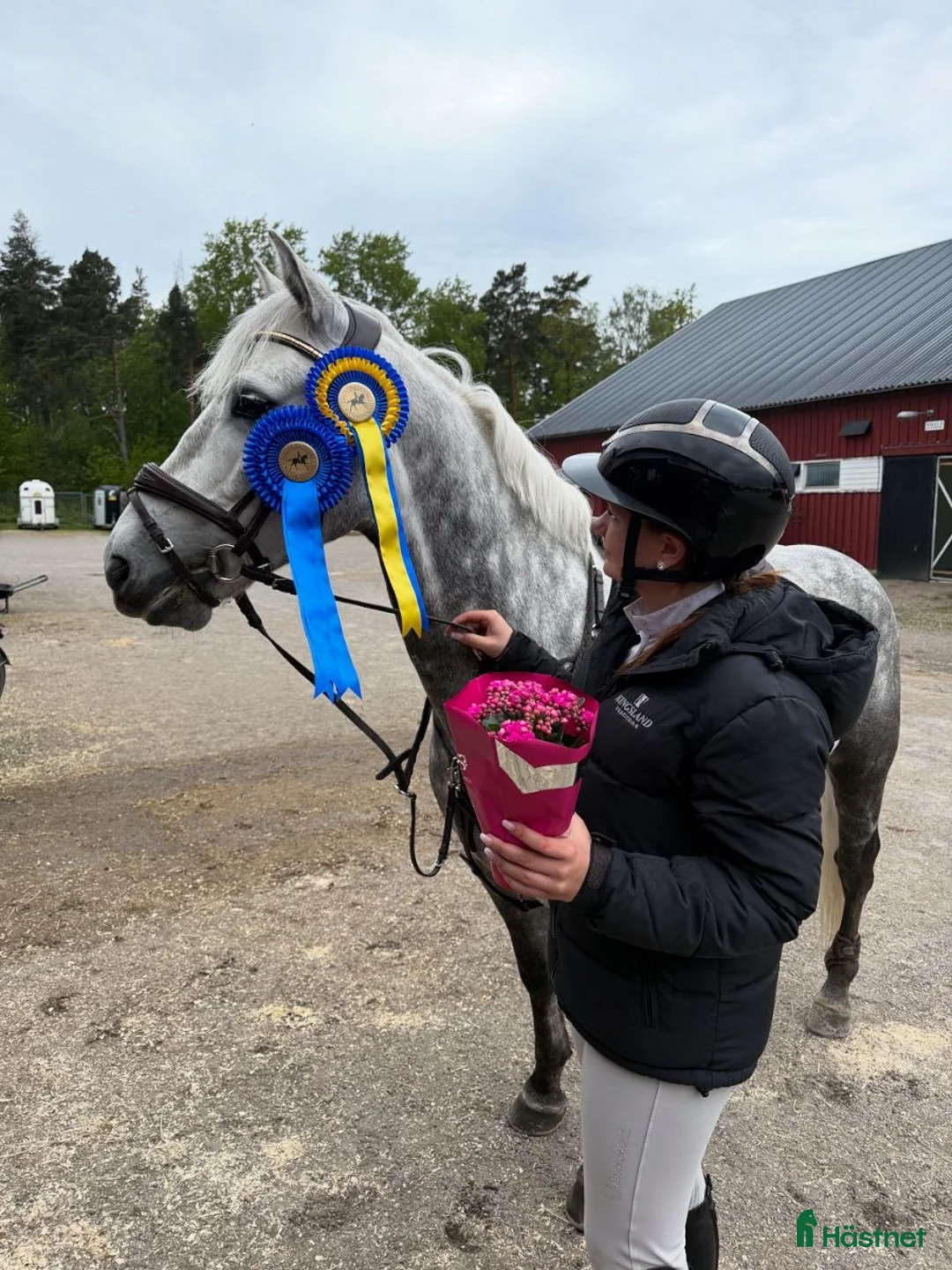 Hoppning hästar till salu: Fantastisk D-ponny i Tungelsta - Annons 1