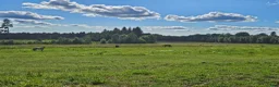  stallplats finnes: Lösdriftsplats - Annons 7