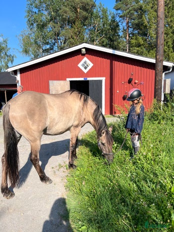 stallplats i Västerhaninge - Annons 13