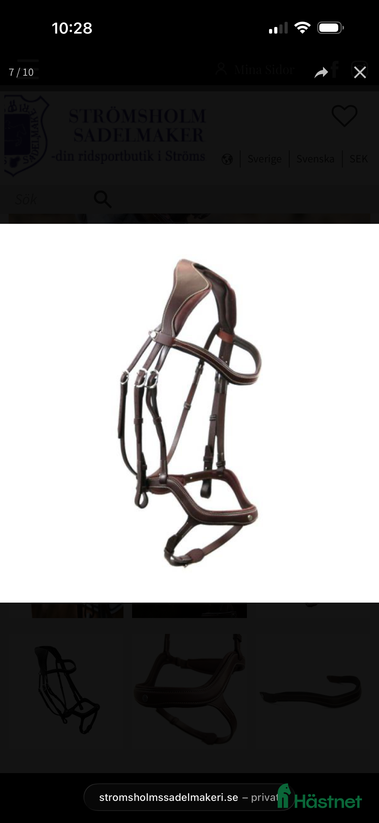 Träns hästutrustning Antares Signature Precision - Y-nosgrimma - Annons 12