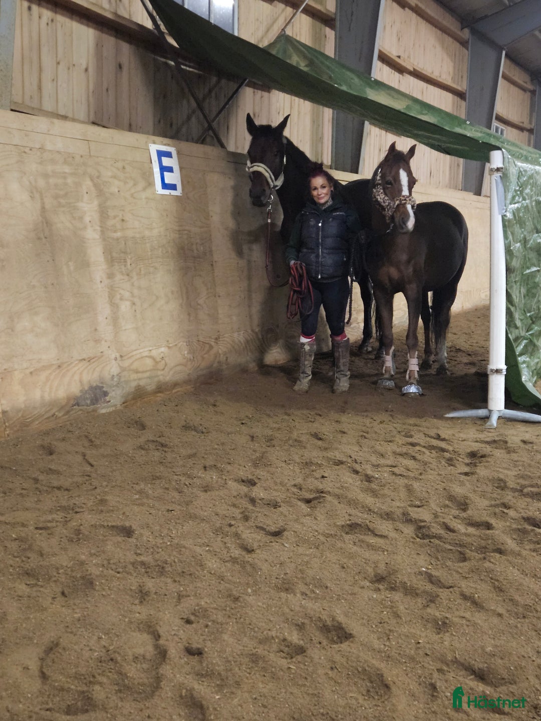  hästjobb finnes: Hästjobb sökes i Ärla - Annons 1