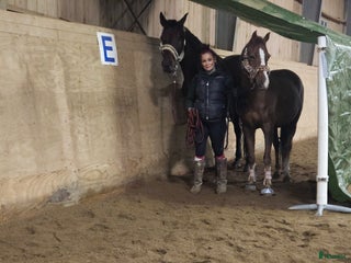 hästjobb Hästjobb sökes i Ärla - Annons 3