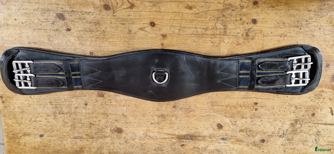 Sadeltillbehör hästutrustning till salu: Dressyrsadelgjord  i Tranås - Annons 1