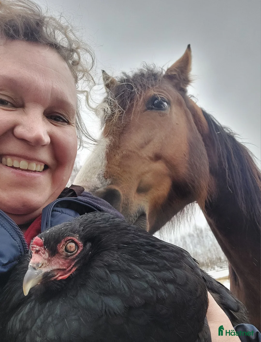 Galleribild {{count}}