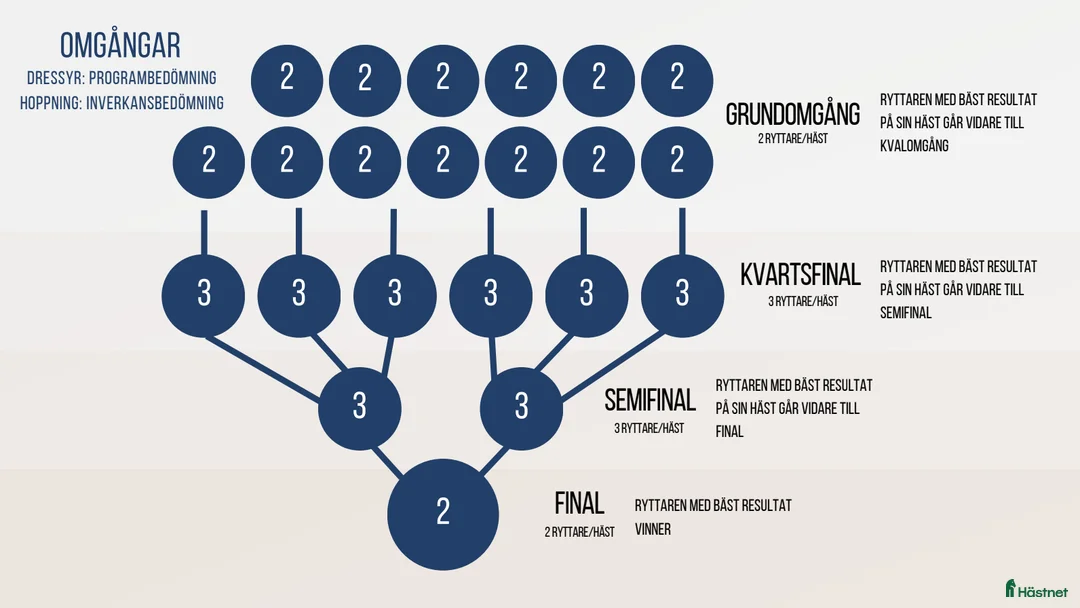 Allround hästar sökes: Hästar sökes för Student-SM i ridsport i Linköping - Annons 4