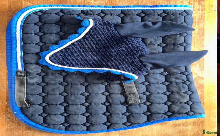 Schabrak & Vojlockar hästutrustning till salu i Ramsele - Annons 7