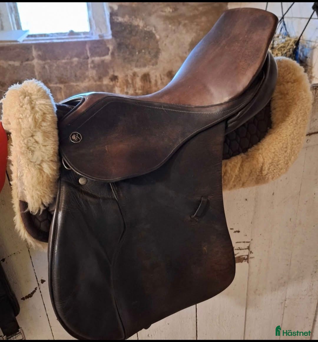 Sadlar hästutrustning till salu: Keiffer  i Sölvesborg - Annons 2