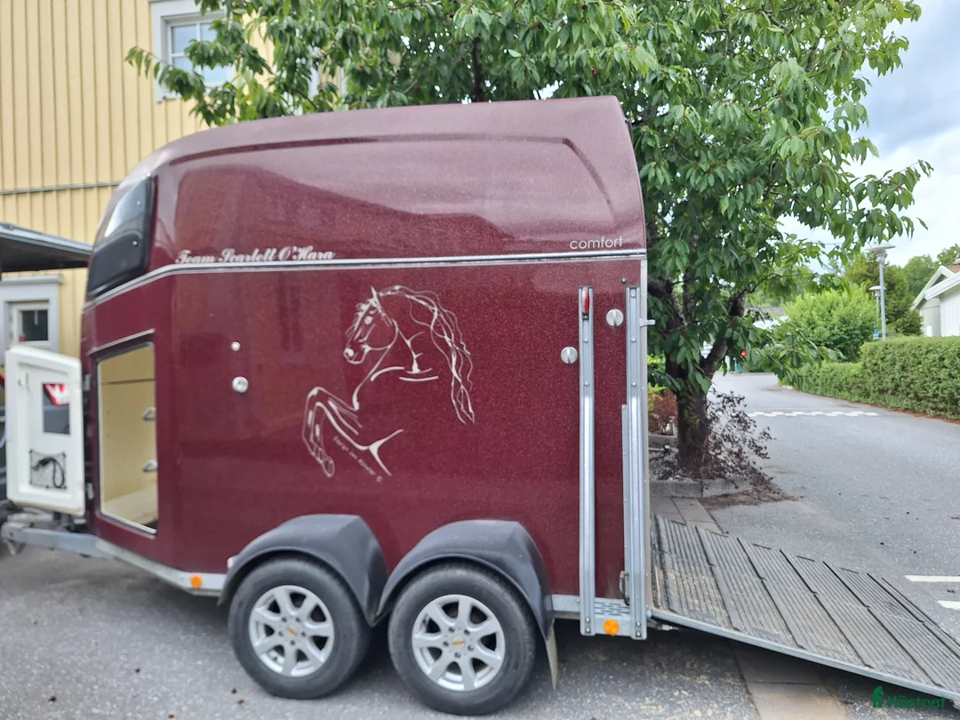 Hästtransporter  fordon & transport till salu: Böckman comfort  i Täby - Annons 1