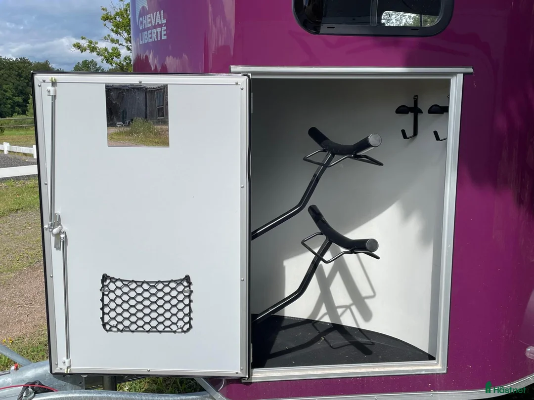 Hästtransporter  fordon & transport till salu: Snyggast transporten! - Annons 2