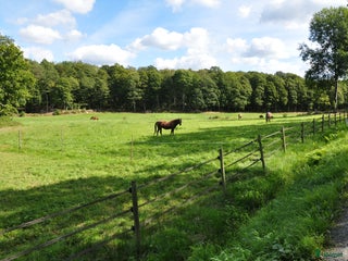 stallplats finnes: Ledig boxplats i ett härligt stall i Lindome i Lindome - Annons 1