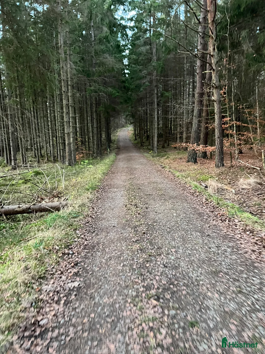  stallplats finnes: Stallplats Onsala i Onsala - Annons 8