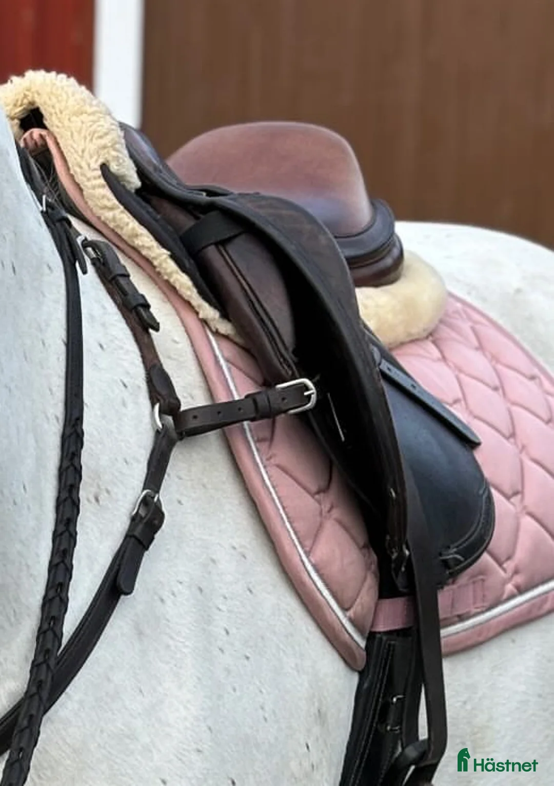 Schabrak & Vojlockar hästutrustning till salu: 4 schabrak tillsalu! i Jönköping - Annons 2