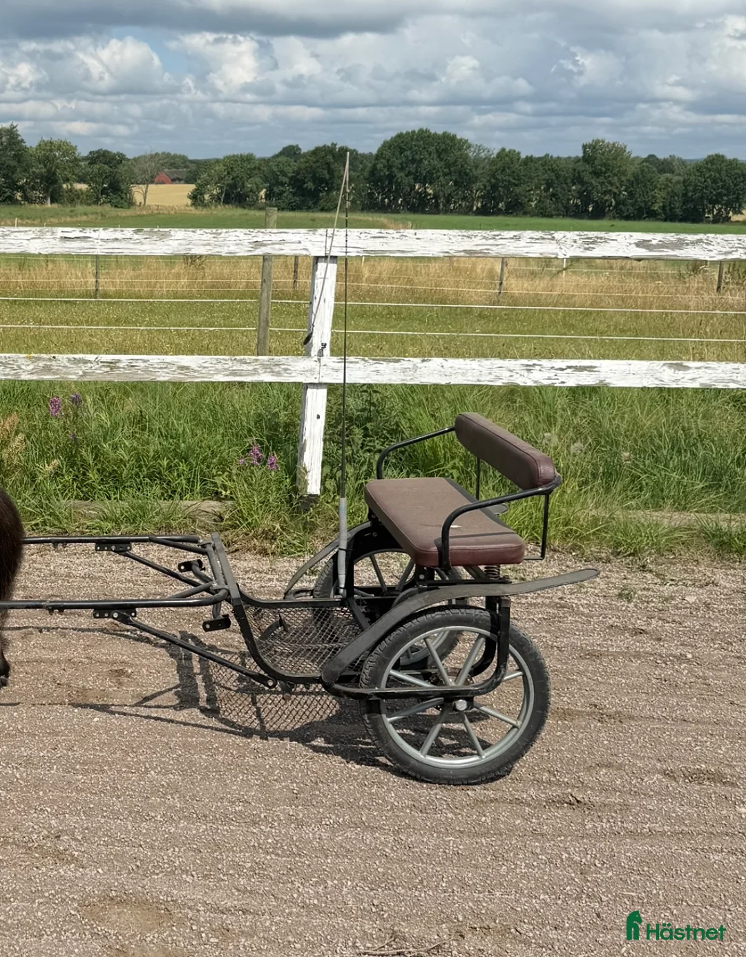 Körvagnar körning till salu: Rockard minishetland  - Annons 1