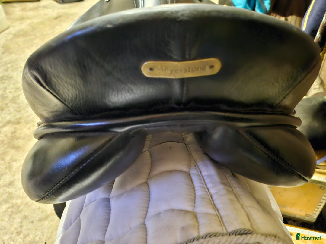 Sadlar hästutrustning till salu: Svart dressyrsadel nyomstoppad i Halmstad - Annons 4