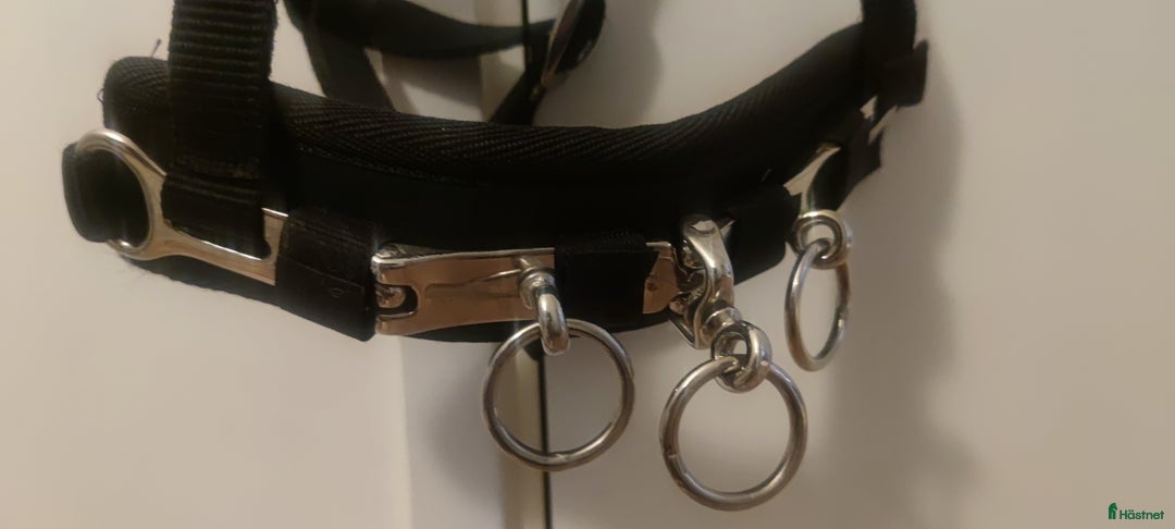 Övrig Hästutrustning hästutrustning till salu: Kapsongrimma textil i Järfälla - Annons 2