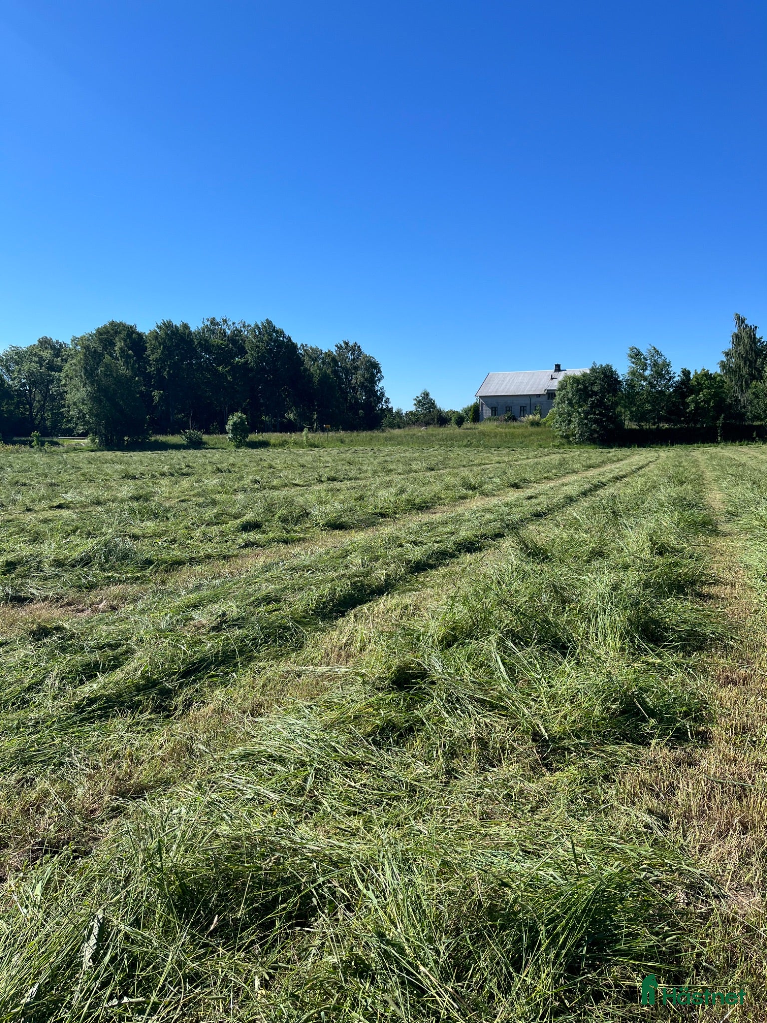  hästservice Hösilage förstaskörd 2025 - Annons 6